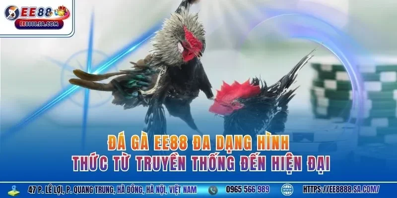 Đá gà EE88 đa dạng hình thức từ truyền thống đến hiện đại