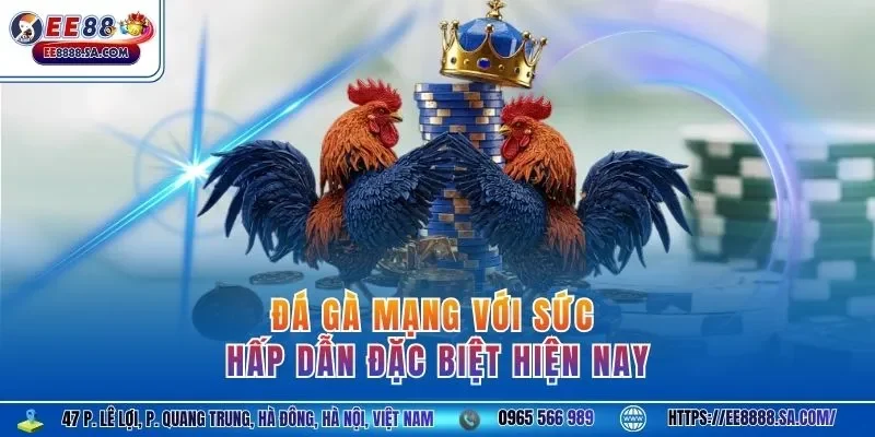 Đá gà mạng với sức hấp dẫn đặc biệt hiện nay 