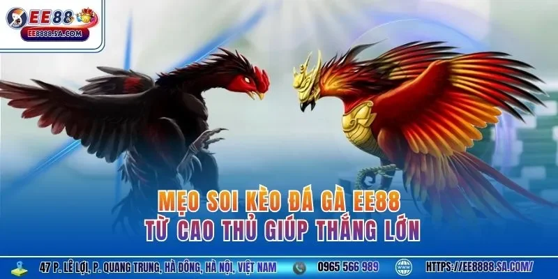 Mẹo soi kèo đá gà EE88 từ cao thủ giúp thắng lớn