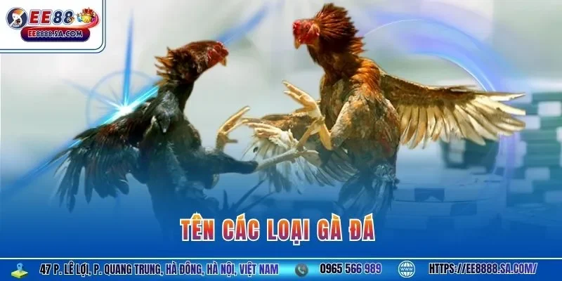 Tên các loại gà đá